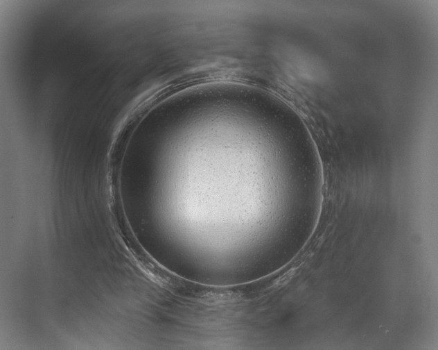 X0000071910245200607141407