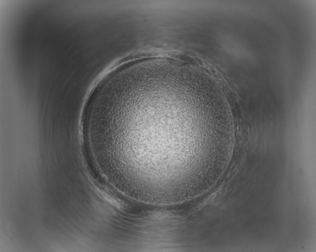 X0000071910246200607141407
