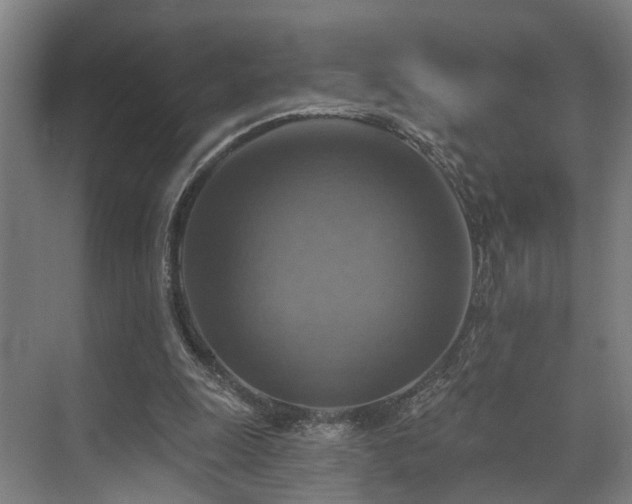 X0000071910247200607141407