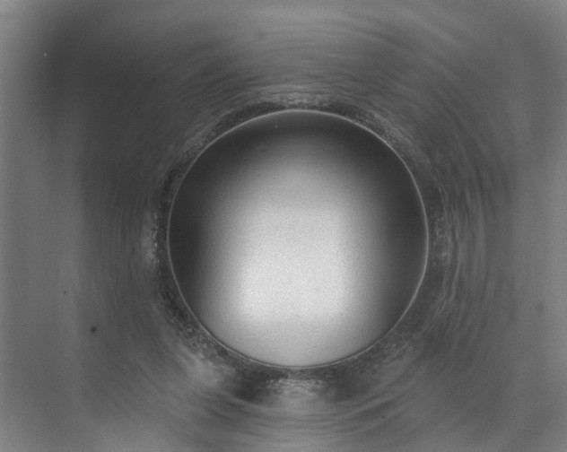 X0000071910255200607141407