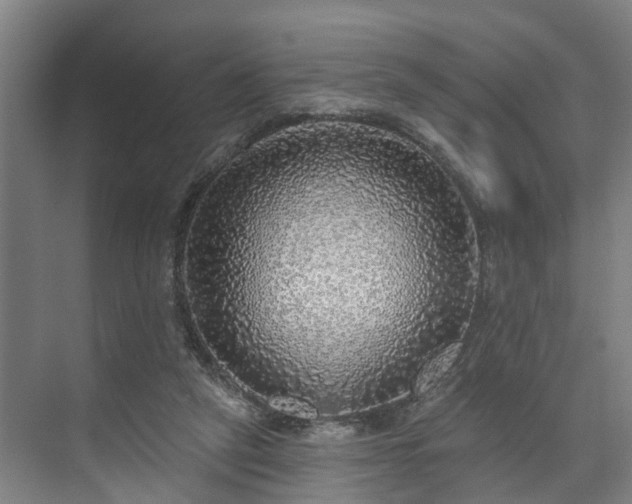 X0000071910257200607141407