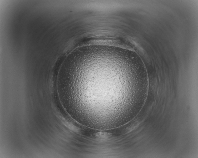 X0000071910261200607141407