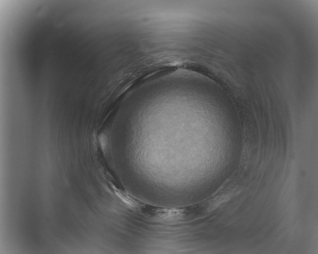 X0000071910288200607141408