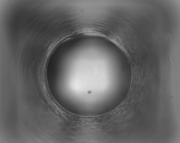 X0000071910289200607141407
