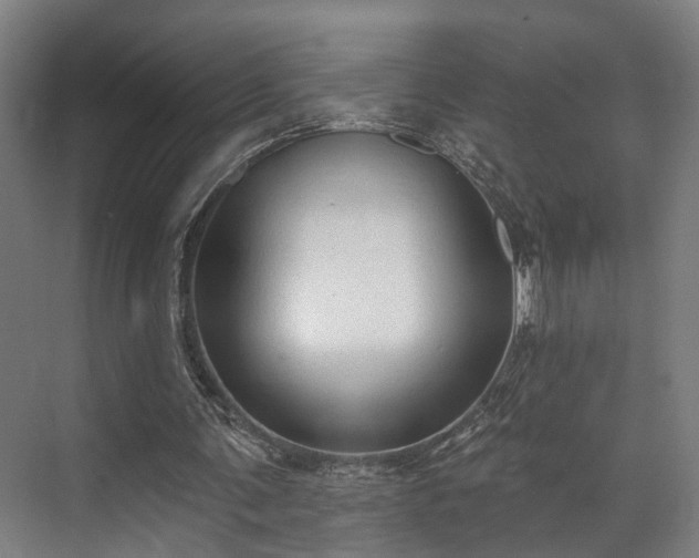 X0000071910291200607141407