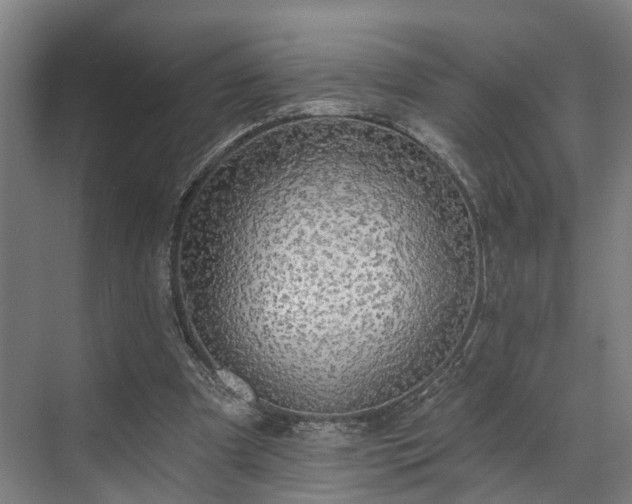 X0000071910297200607141407