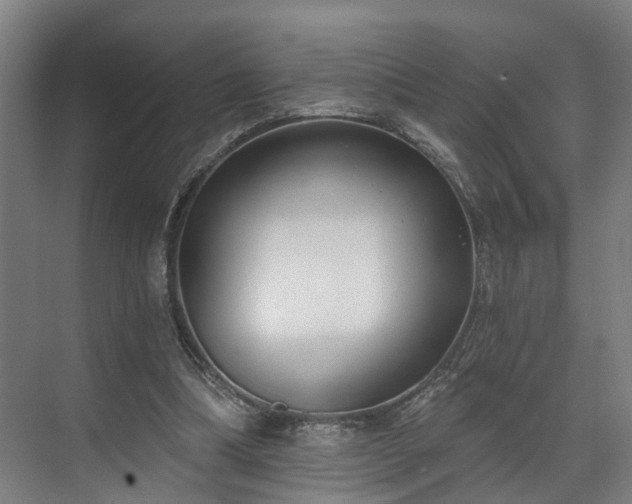 X0000071910298200607141407