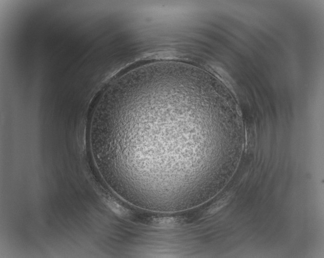 X0000071910301200607141407