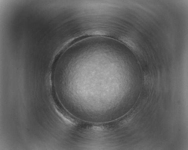 X0000071910302200607141407