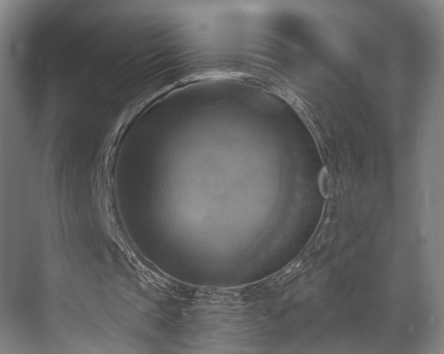 X0000071910337200607141406