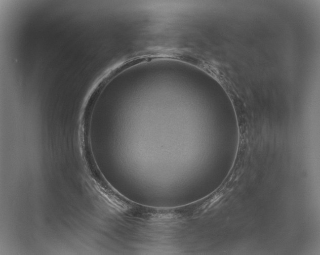 X0000071910342200607141406