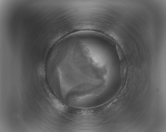 X0000071910345200607141406