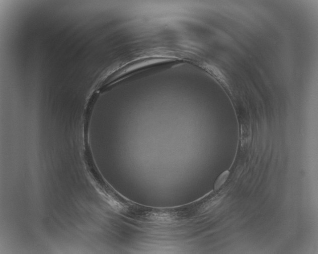 X0000071910349200607141406