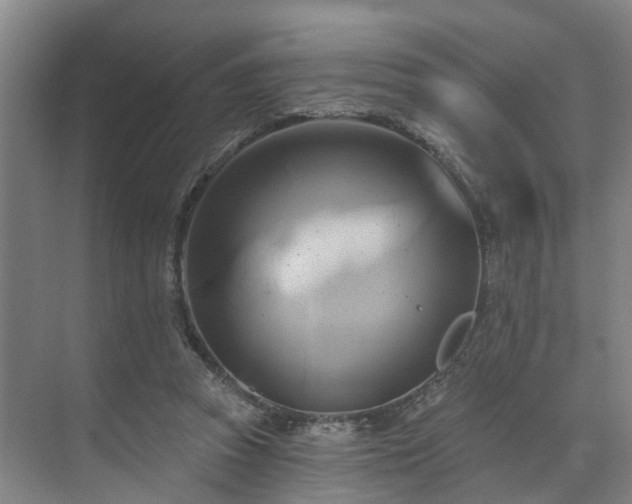 X0000071910353200607141406