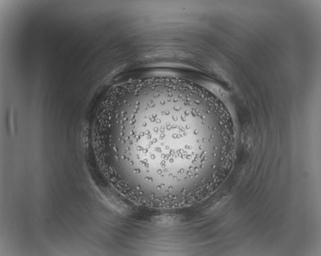 X0000071910356200607141406