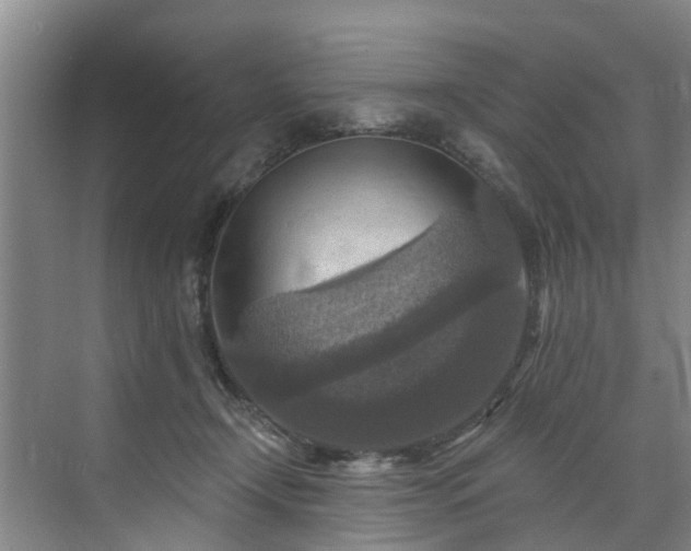 X0000071910366200607141406