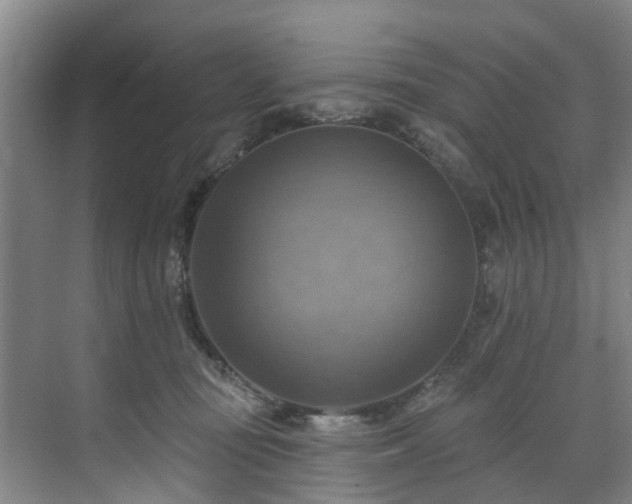 X0000071910371200607141406