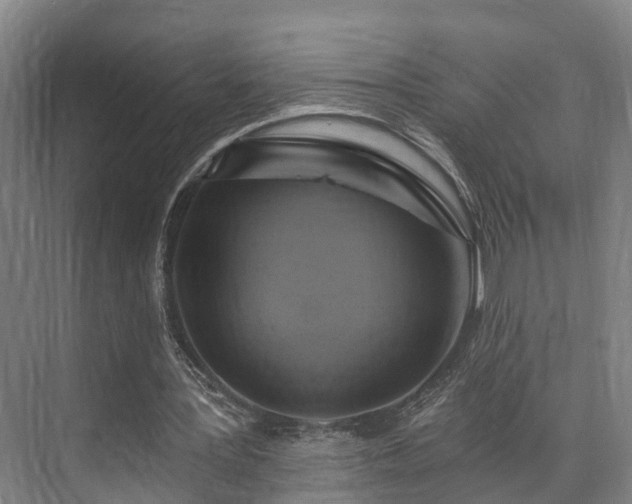 X0000071910387200607141405