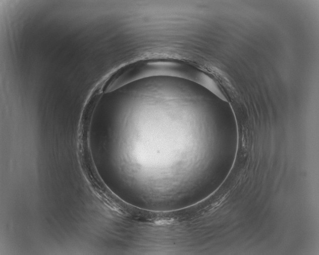 X0000071910388200607141405