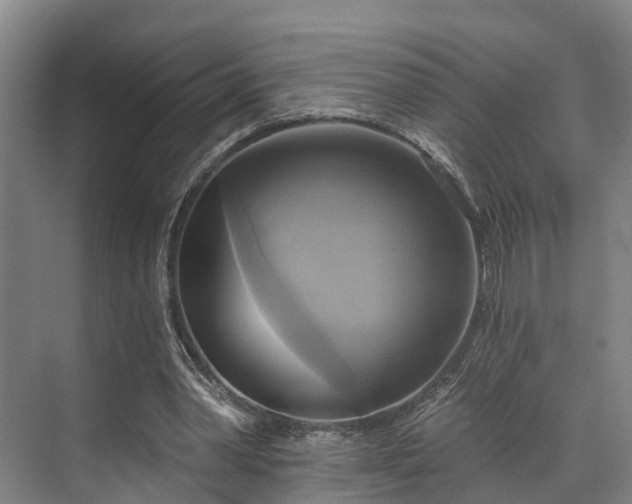 X0000071910390200607141405