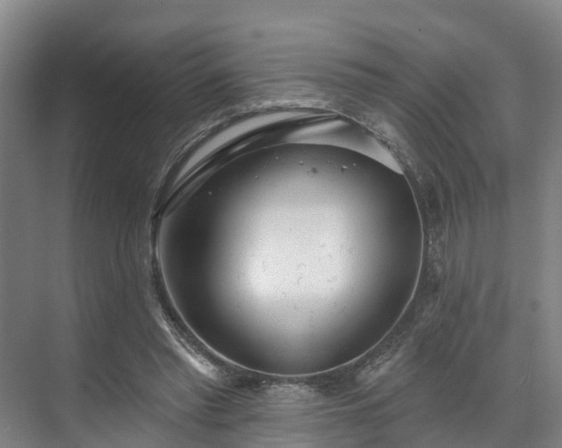 X0000071910397200607141405