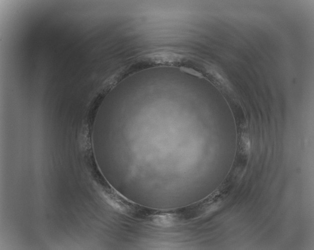 X0000071910411200607141405
