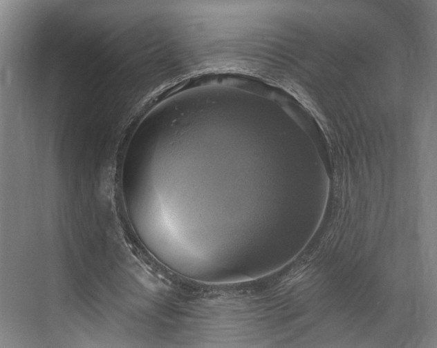 X0000071910434200607141404
