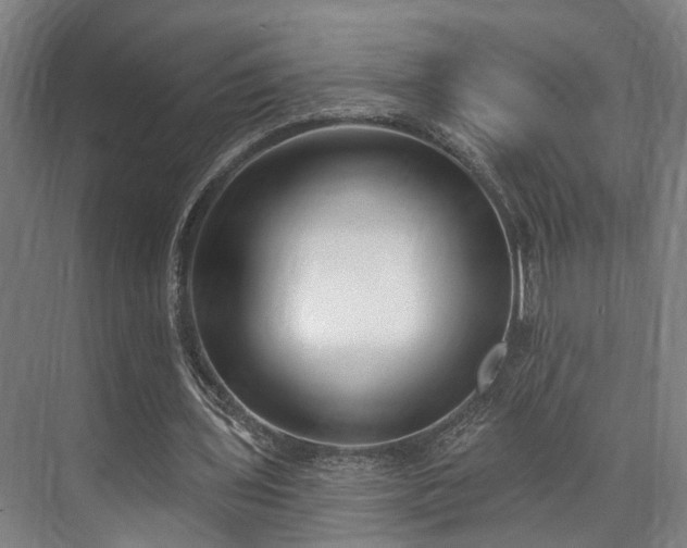 X0000071910435200607141404