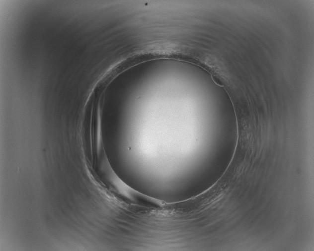 X0000071910440200607141404
