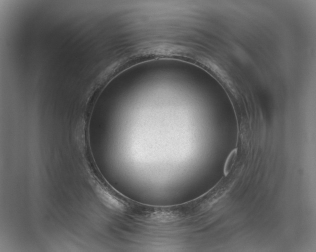 X0000071910445200607141404