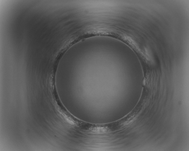 X0000071910449200607141404