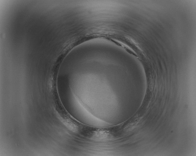 X0000071910451200607141404