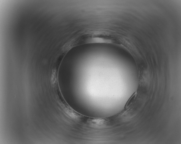 X0000071910478200607141405
