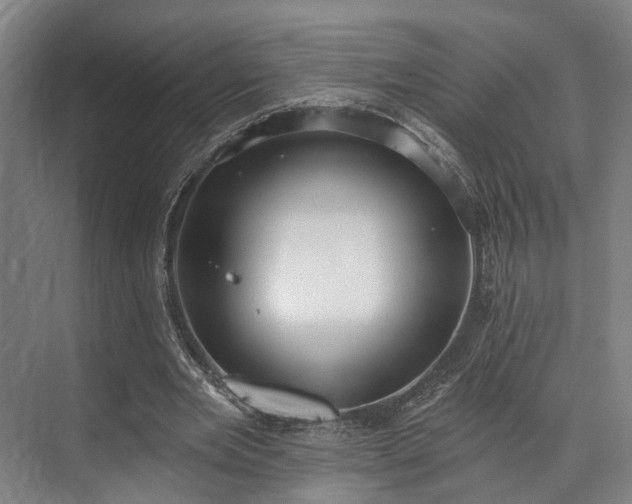 X0000071910485200607141404