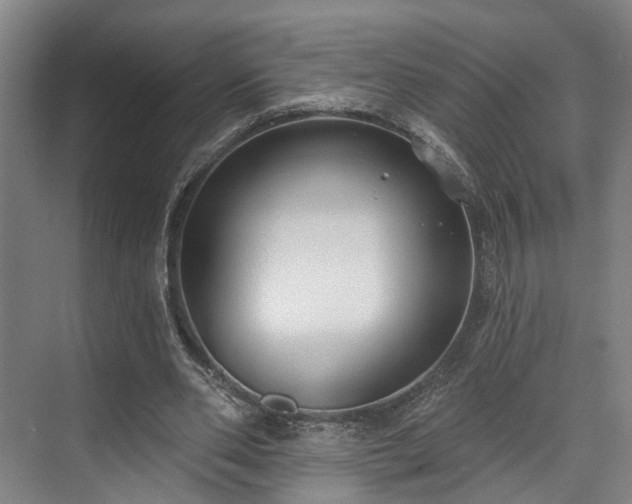 X0000071910486200607141404