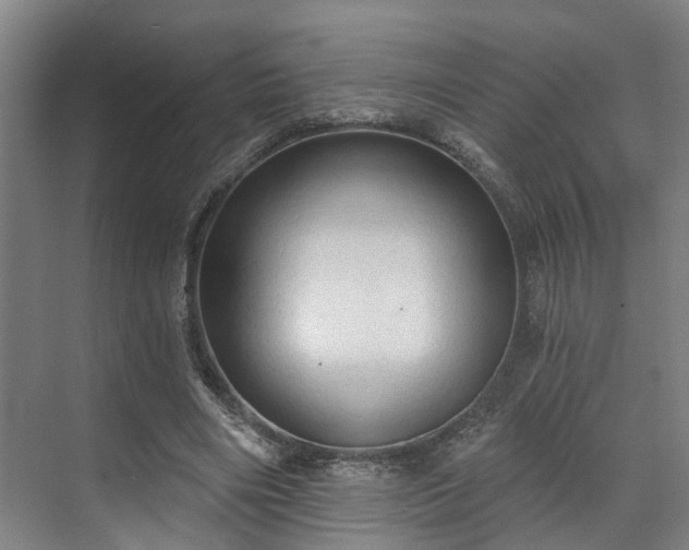 X0000071910490200607141404