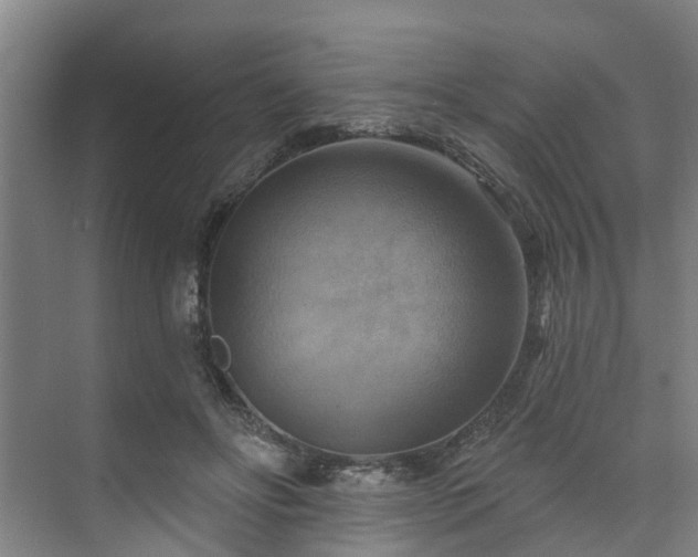 X0000071910502200607141404