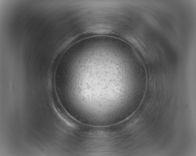 X0000071910533200607141402