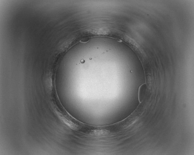 X0000071910541200607141403