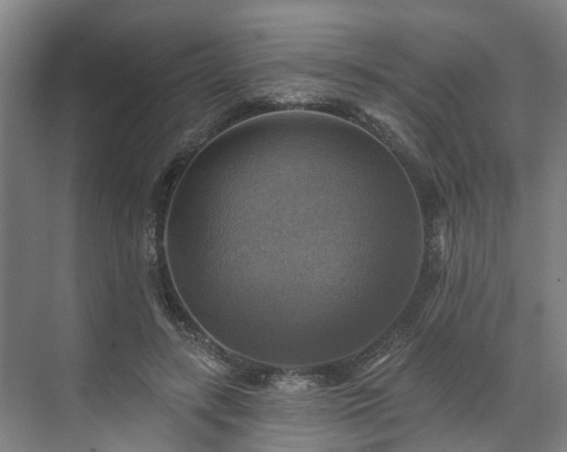 X0000071910547200607141403