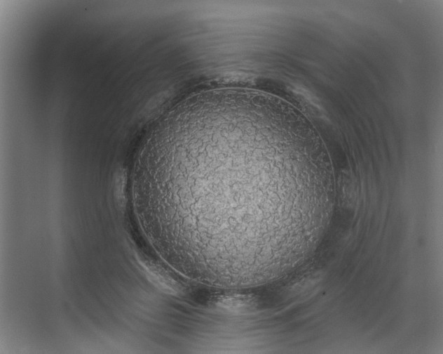 X0000071910550200607141403