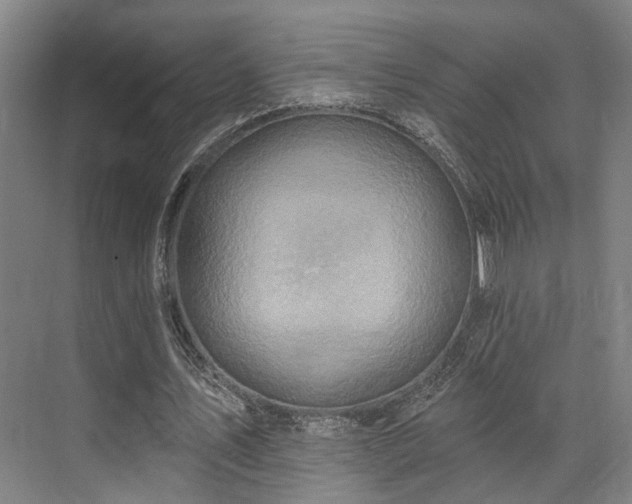X0000071910579200607141402