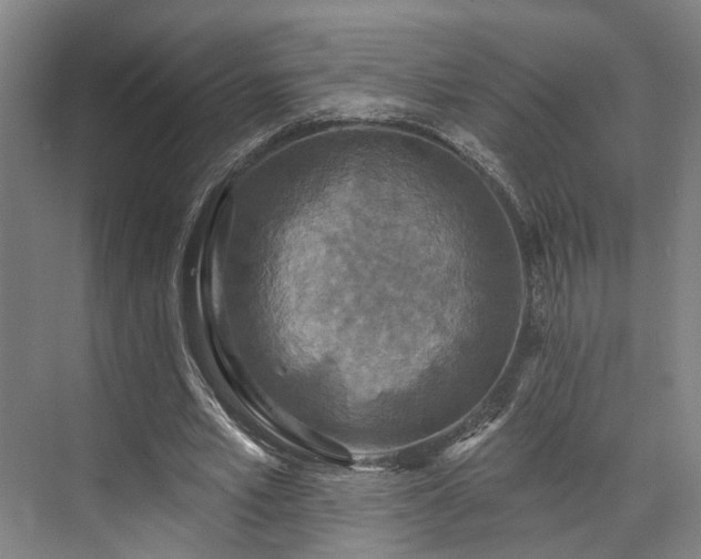 X0000071910581200607141402