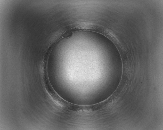 X0000071910586200607141402