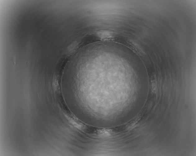 X0000071910618200607141402