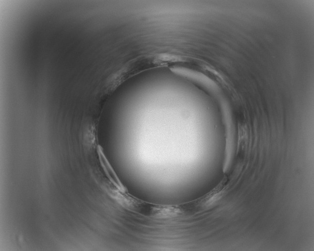 X0000071910621200607141402