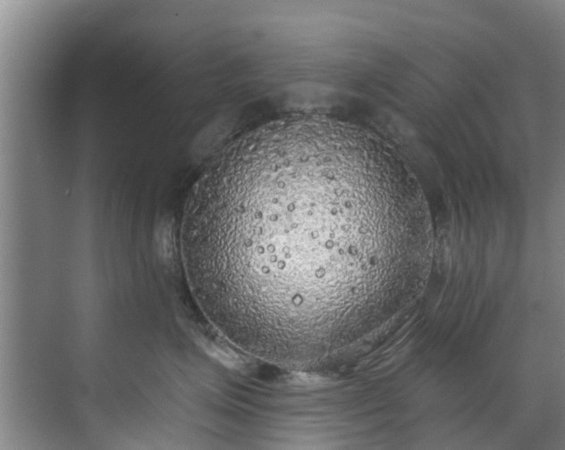 X0000071910623200607141402