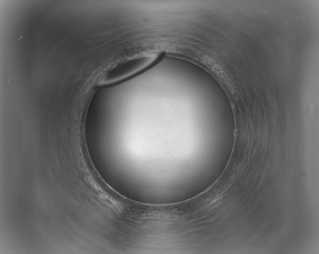 X0000071910625200607141401
