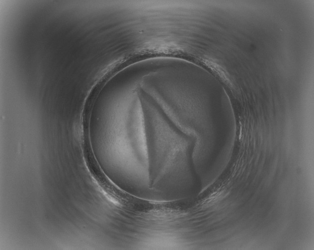 X0000071910630200607141401