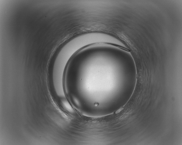 X0000071910634200607141401